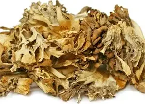 Dried Maitake (Hen of the Woods)