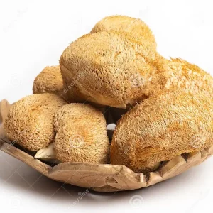 Dried Monkey Head (Lion’s Mane)