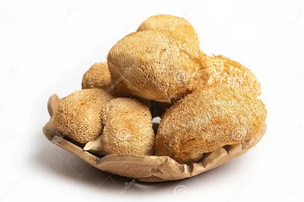 Dried Monkey Head (Lion’s Mane)