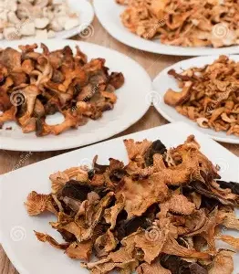 Dried Edible Mushroom package