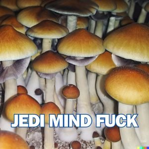 Jedi Mind Fuck